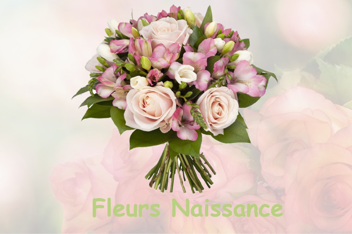 fleurs naissance SAINT-CLEMENT-SUR-VALSONNE